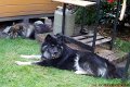 berne (1)